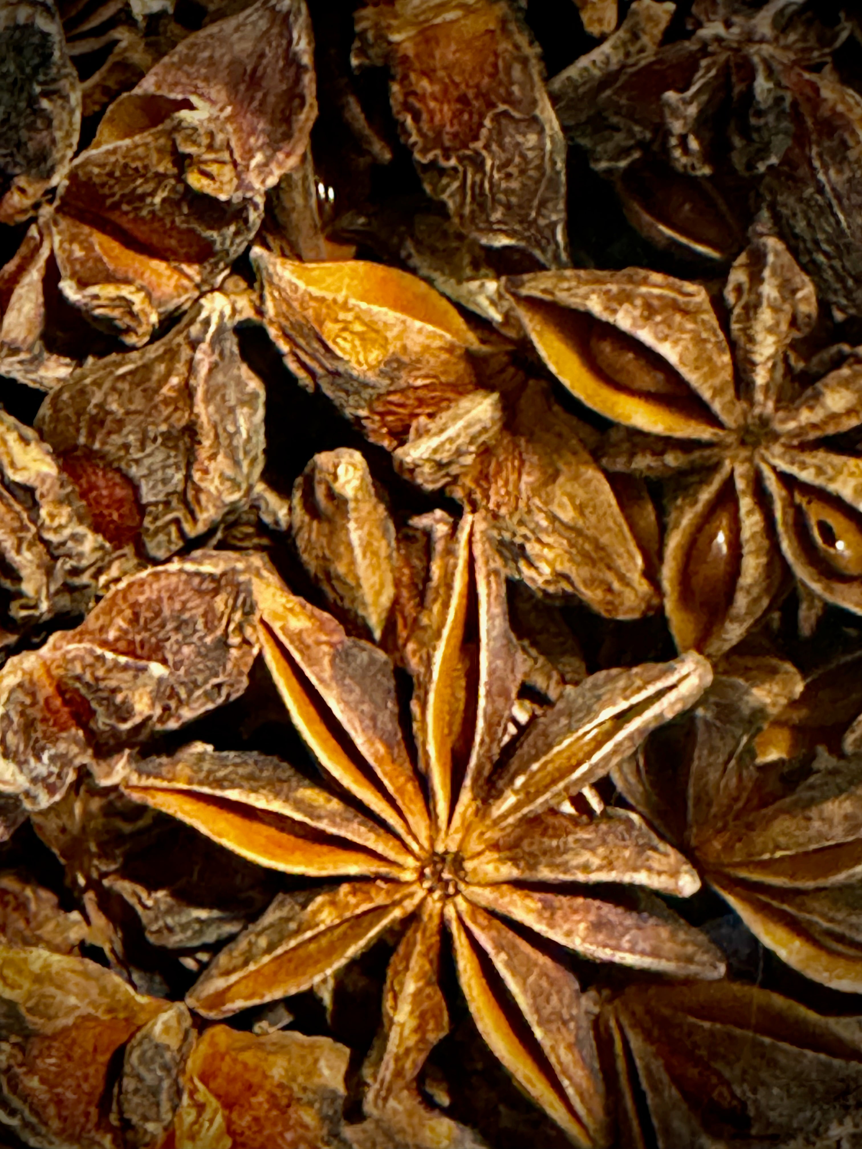 Kama Loka Herbal Apothecary Anise Star Pods